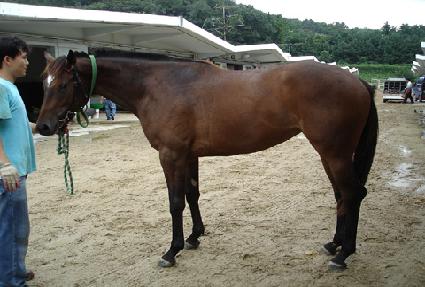 �������� ����