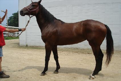 Ķ�������� ����