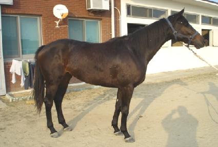 �����¡�� ����