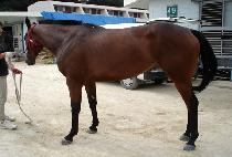 �������� (MUBI JEONSEOL) ����