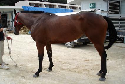 �������� ����