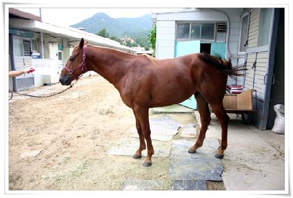 �̽��ͽ��� ����