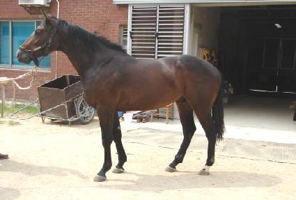 �����ǽ��� ����