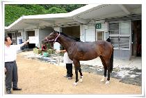 �߿��� (GYEONOBAEK) ����