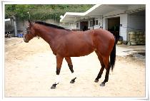 �ָ����� (JUMALGANGJA) ����