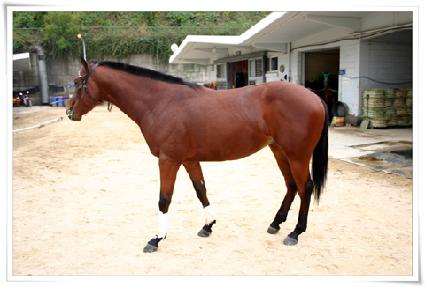 �ָ����� ����