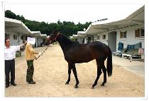 Ÿ���� (TYCOON) ����