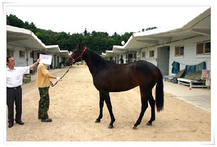 Ÿ���� ����