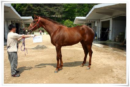 �������� ����