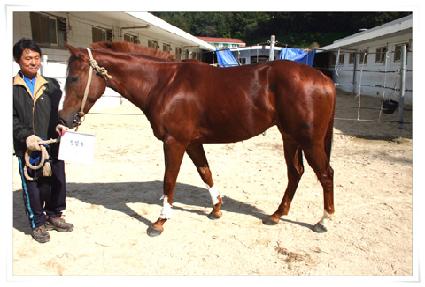 ���̴� ����