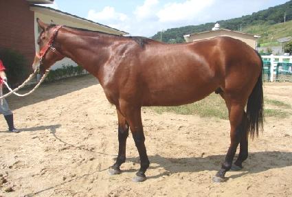 �ְ������� ����