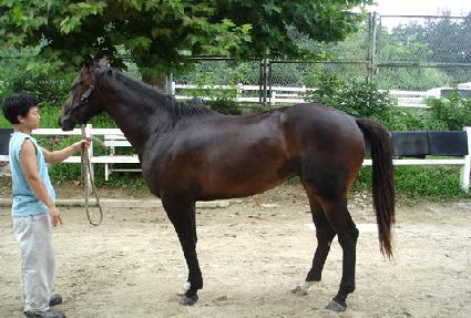 �׷�����ġ ����