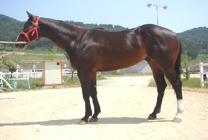 ��������� ����