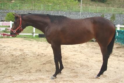 ���İ� ����