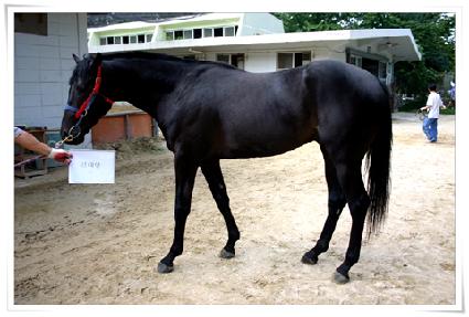 ū�¾� ����