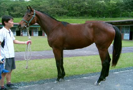 �ݴ���� ����