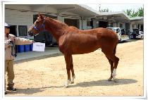 ����Ȳ�� (HANHYEOLHWANGBONG) ����