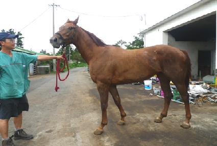 ����Ǵ� ����