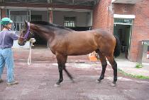 �ջ� (WANGSAN) ����