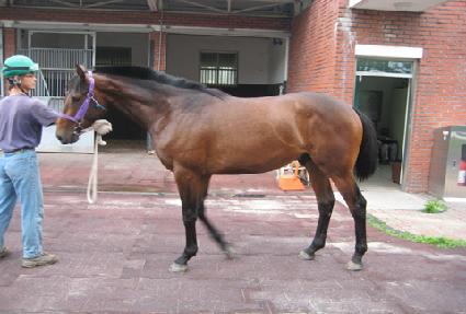 �ջ� ����