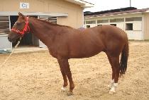 ��ū���� (DEOKEUN JONJAE) ����