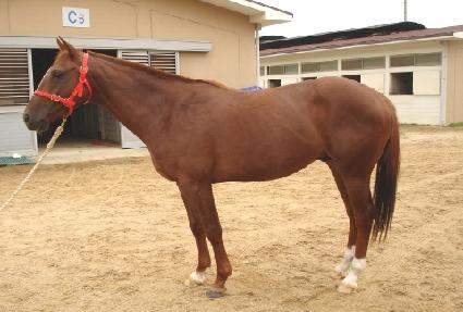 ��ū���� ����