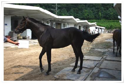 ��±�� ����