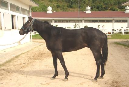 �����ְ� ����