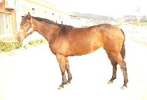 �������ູ (EONJENA HAENGBOK) ����