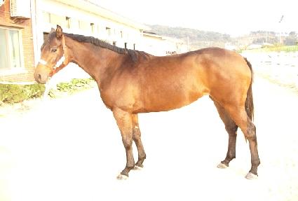 �������ູ ����