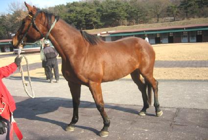 ���������� ����