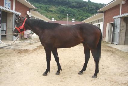 Ž���ȣ ����