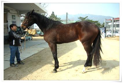 ������ ����