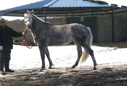 �ִ�ǳ�� ����