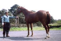 �������� (MYEONGMUNJEWANG) ����