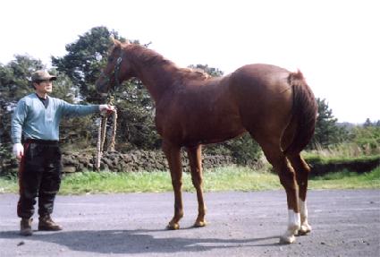 �������� ����