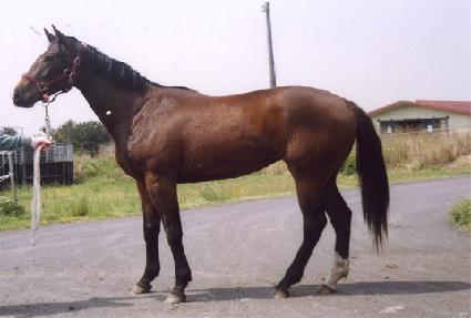 �ݺ��ٴ� ����