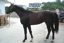 �ұ��� (BULGUKTO) ����