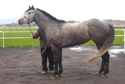 ���߰��� ����