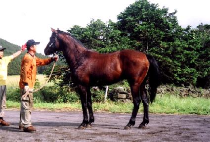 ���ǵ� ����