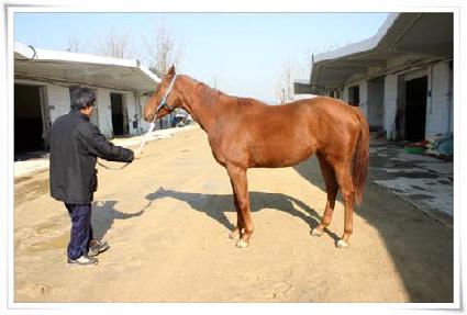 �������� ����