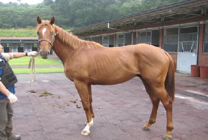 �ϴ�ó�� ����