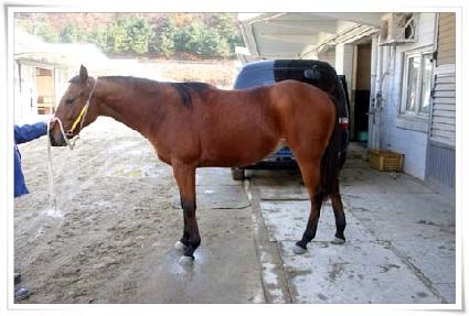 ������ ����