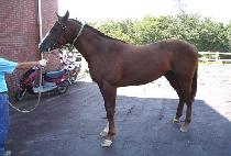 ����Ʈ���� (PERFECT GUY) ����