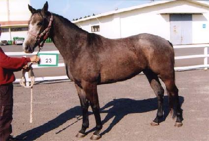 ȭ��Ʈ�帮�� ����