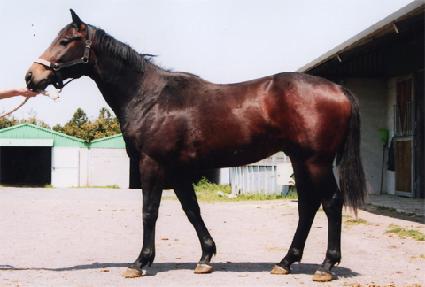 ûõõ�� ����