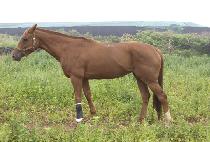 �ݹ߹̳� (GEUMBAL MINYEO) ����