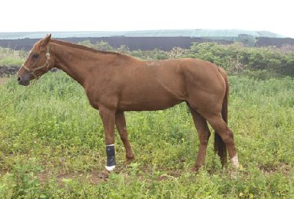 �ݹ߹̳� ����