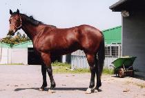 �ѹ������� (HANBATANGUSEUM) ����