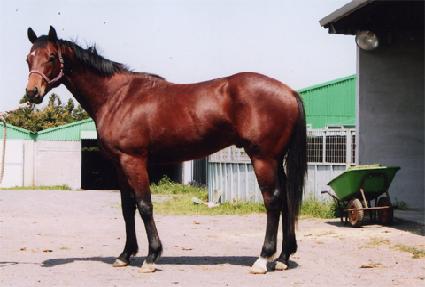 �ѹ������� ����